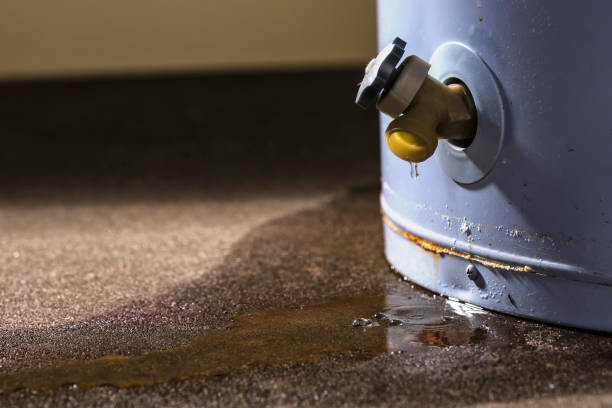 Best Water damage restoration near me  in Rochester, MI