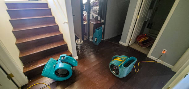 Best Water damage restoration near me  in Rochester, MI