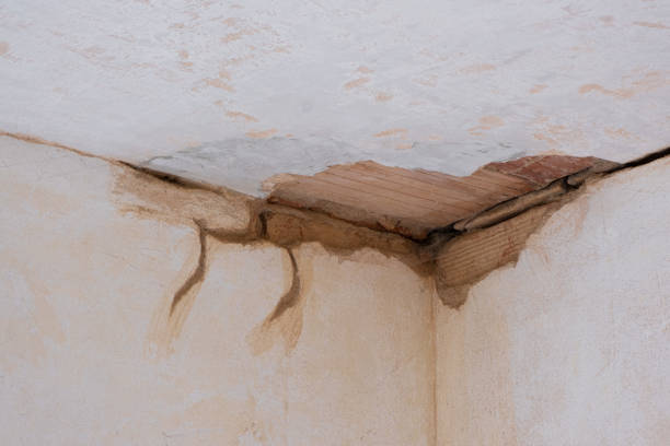 Best Flood damage cleanup  in Rochester, MI