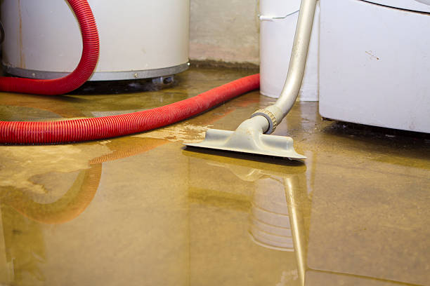 Carpet water damage restoration in MI