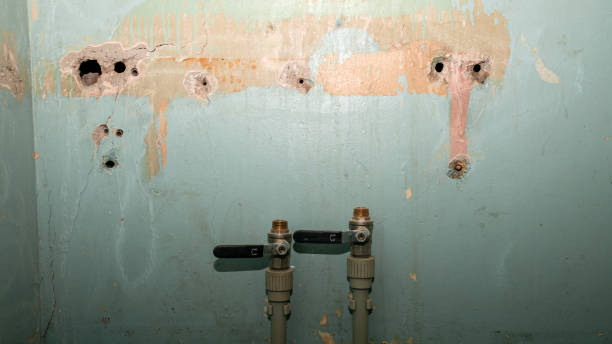 Best Residential water damage restoration  in Rochester, MI