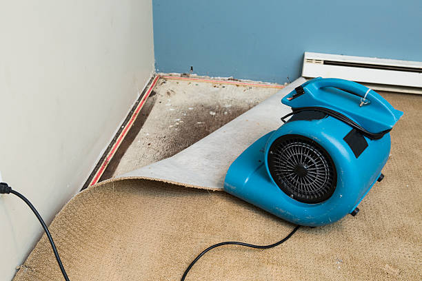 Best Residential water damage restoration  in Rochester, MI